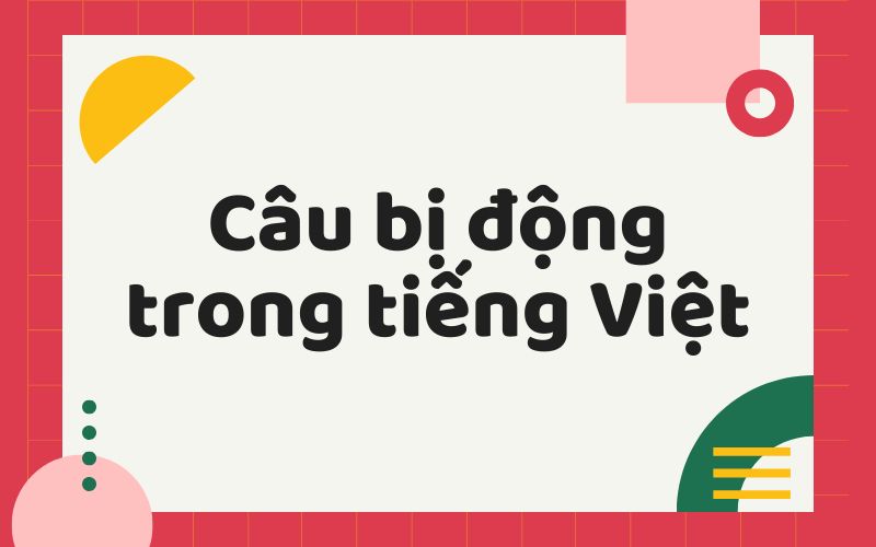 Câu bị động tiếng Việt: Tổng hợp những điều cần biết