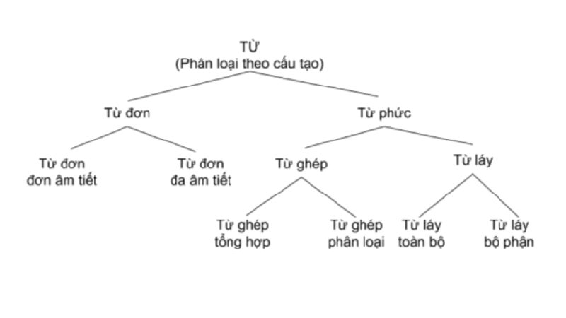 Kiến thức về cấu tạo từ trong tiếng Việt các em học sinh cần nắm rõ