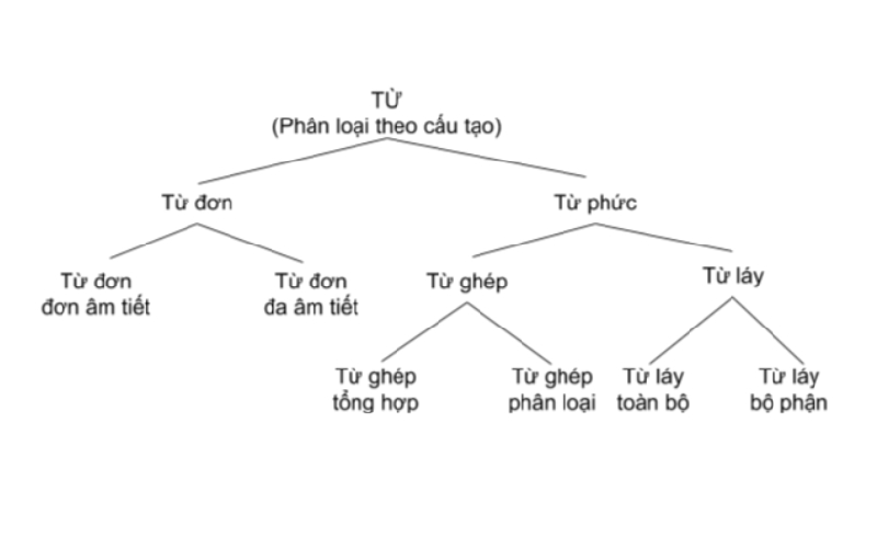 Kiến thức về cấu tạo từ trong tiếng Việt các em học sinh cần nắm rõ